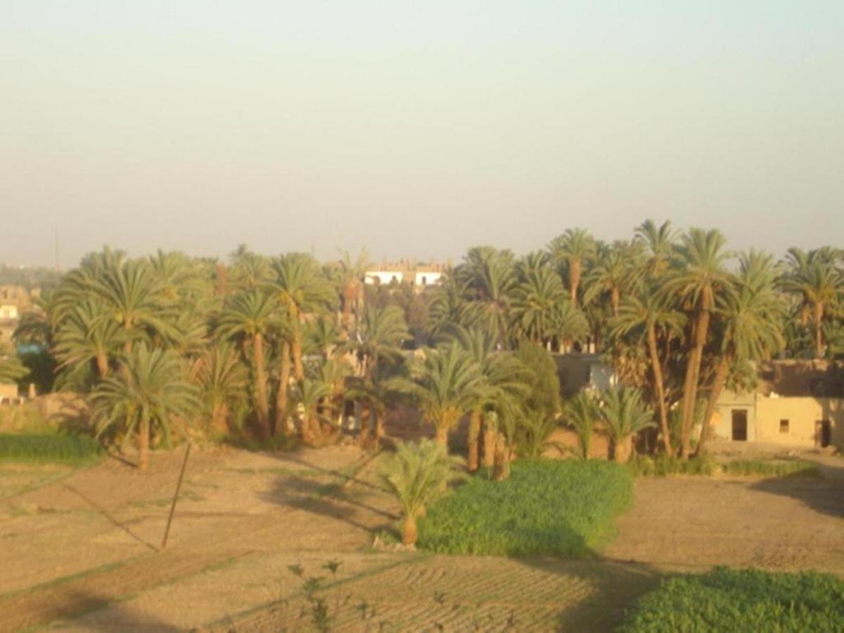 Rose Guest House Luxor Eksteriør bilde