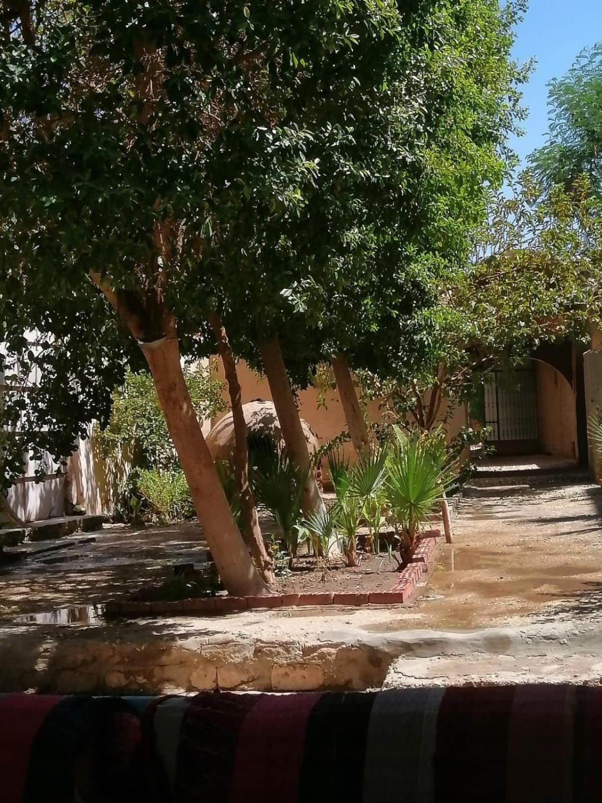 Rose Guest House Luxor Eksteriør bilde